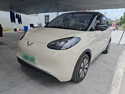 Wuling Bingo