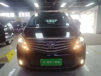 Fengxing Lingzhi PLUS