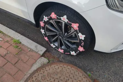Geely Auto Vision X6