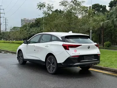 Buick Velite 6
