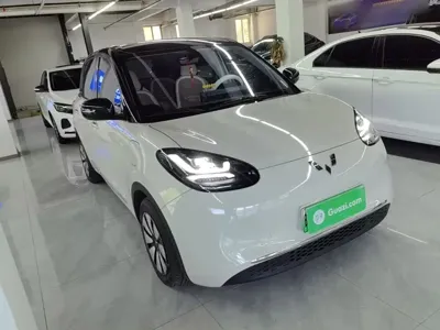 Wuling Bingo