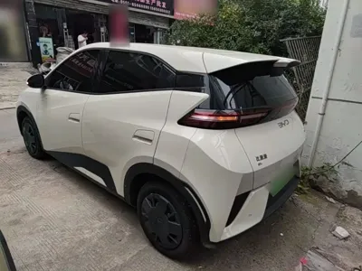BYD Seagull