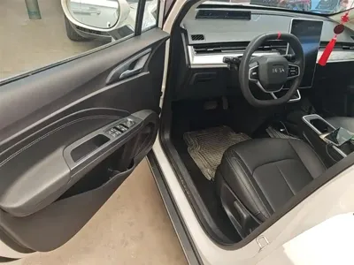 NETA Neta AYA