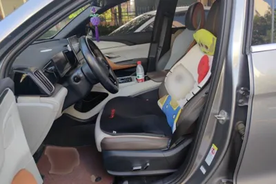 BYD Song Pro New Energy