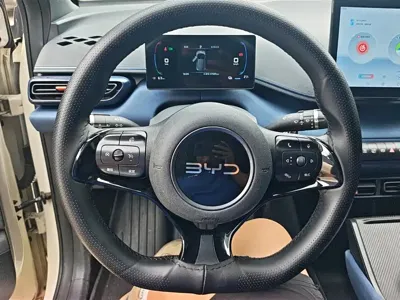BYD Seagull