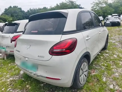 Wuling Bingo