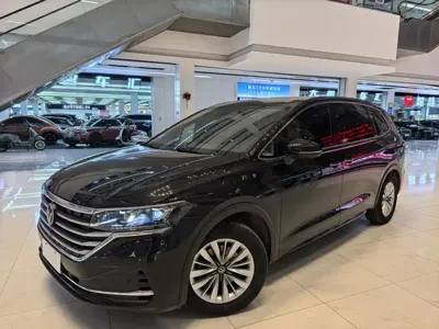 Volkswagen Viloran