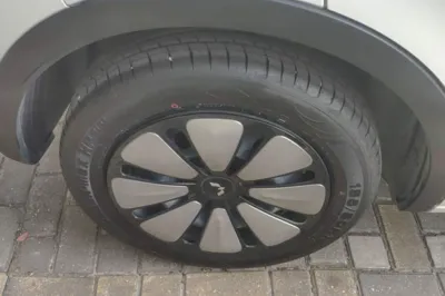 Wuling Bingo