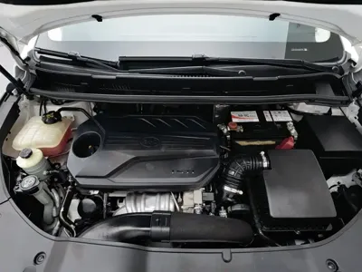 BYD MAX