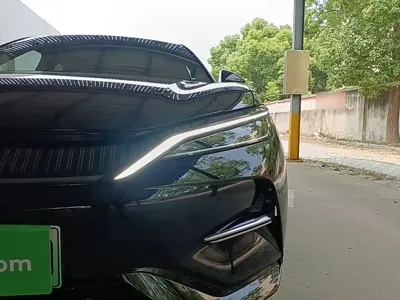 BYD L EV