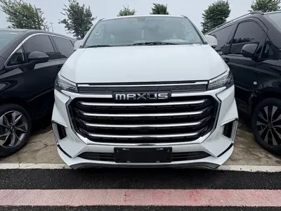 Maxus G20