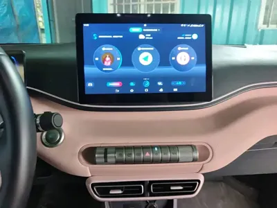BYD Seagull