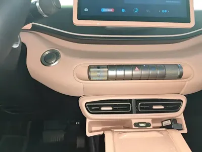 BYD Seagull