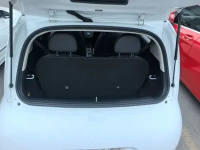 ORA Ora White Cat