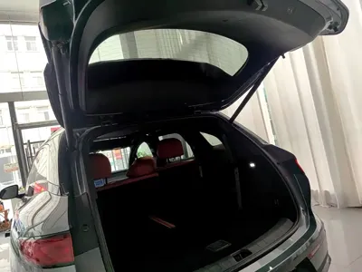 BYD 唐L