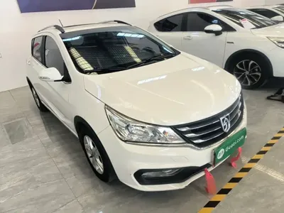 Baojun 310