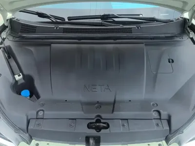 NETA Neta V