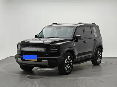 Haval 长城猛龙 PLUS