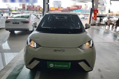 BYD Seagull