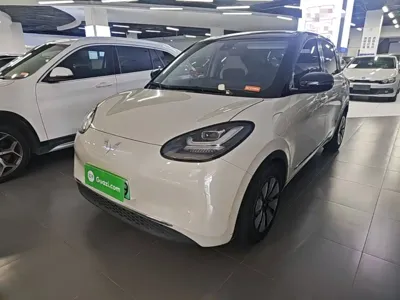 Wuling Bingo