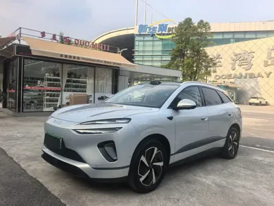 BYD 海狮06