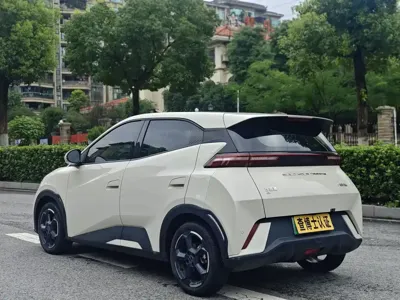 BYD Seagull