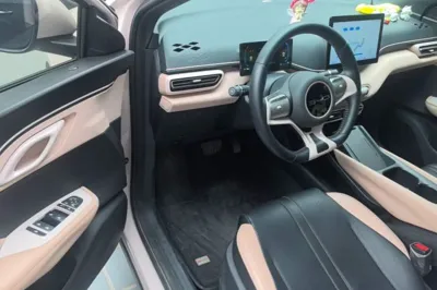 BYD Seagull