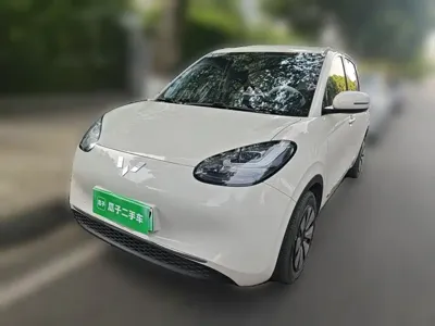 Wuling Bingo