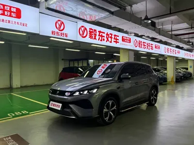 BYD Pro New Energy