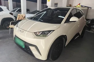 BYD Seagull