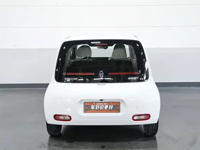 ORA Ora White Cat
