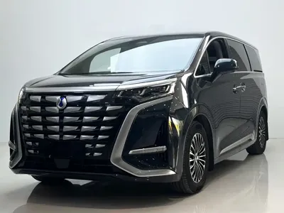 Denza Denza D9