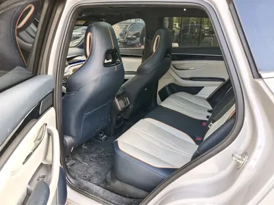 BYD PLUS New Energy