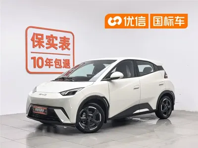 BYD Seagull