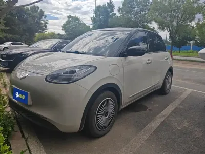 Wuling Bingo