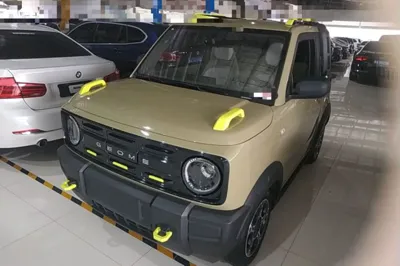 Geely Galaxy Panda