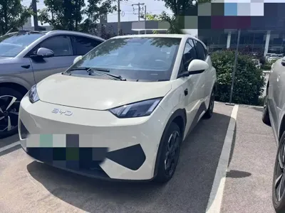 BYD Seagull