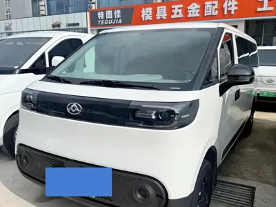 Maxus V1
