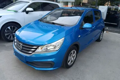 Baojun 310