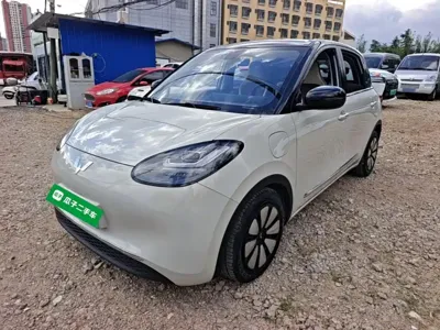 Wuling Bingo