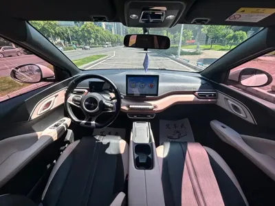BYD Seagull