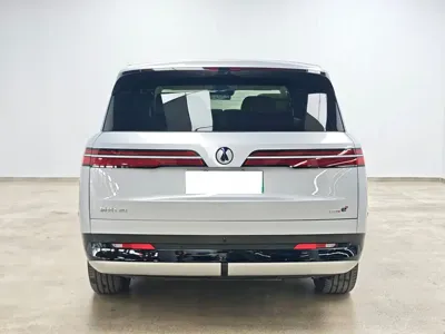 Denza 腾势N9