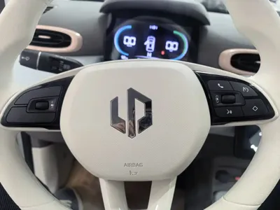 Leapmotor Leapmotor T03