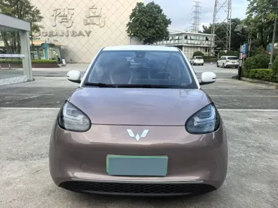 Wuling Bingo
