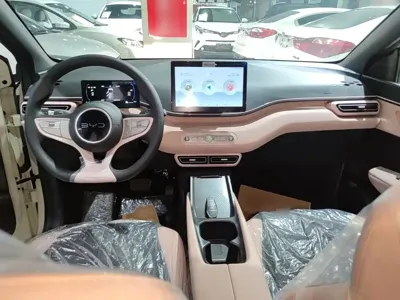 BYD Seagull