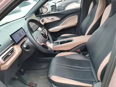 BYD Seagull