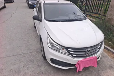 Baojun 310
