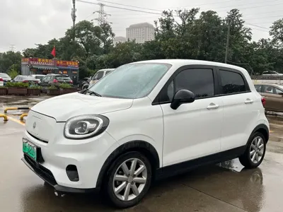 Leapmotor Leapmotor T03