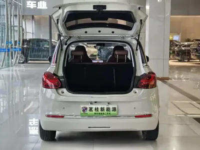 Wuling Bingo