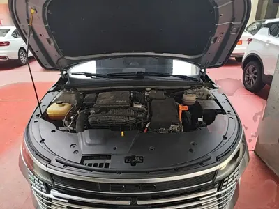 BYD Destroyer 05